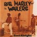 Bob Marley And The Wailers / Feel Alright