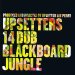 Upsetters / 14 Dub Blackboard Jungle